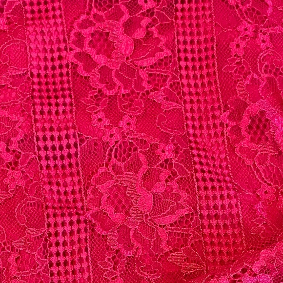 NWT! Anthropologie Maeve Dress Raspberry Open-Back Lace Size 4 - Picture 11 of 12